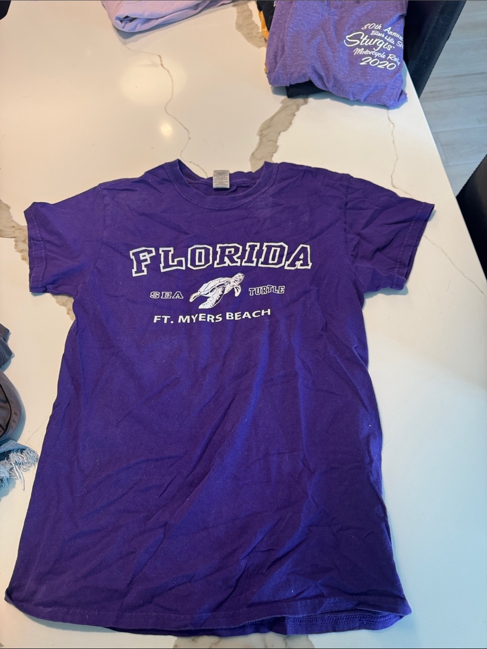 Gildan Purple Florida Ft. Myers Beach Sea Turtle Graphic Tee